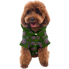 Star Over The Healthy Sacred Nature Ornate And Green Dog Coat