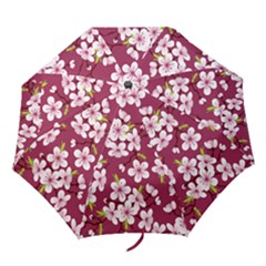 Sakura Folding Umbrellas by goljakoff