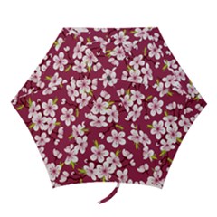 Sakura Mini Folding Umbrellas by goljakoff