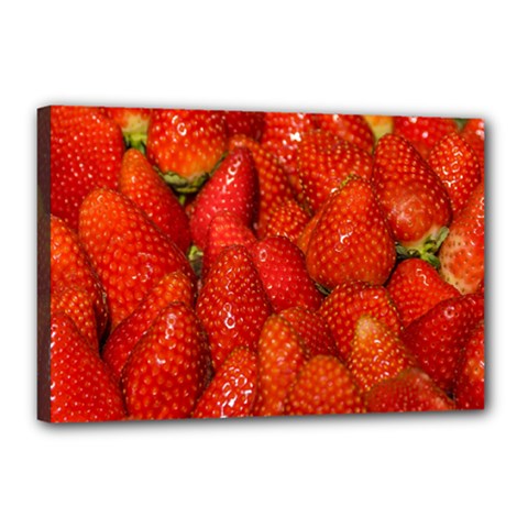 Colorful Strawberries At Market Display 1 Canvas 18  X 12  (stretched)