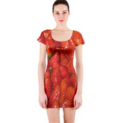 Colorful Strawberries At Market Display 1 Short Sleeve Bodycon Dress by dflcprintsclothing