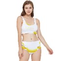 Banana Fruit Watercolor Painted Frilly Bikini Set View1