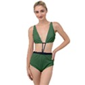 Basil Green - Tied Up Two Piece Swimsuit View1