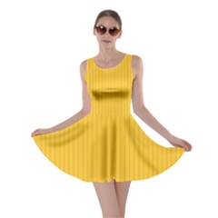 Aspen Gold - Skater Dress by FashionLane