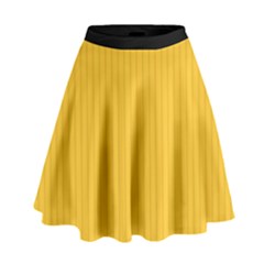 Aspen Gold - High Waist Skirt by FashionLane