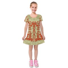 Roses Decorative In The Golden Environment Kids  Short Sleeve Velvet Dress by pepitasart