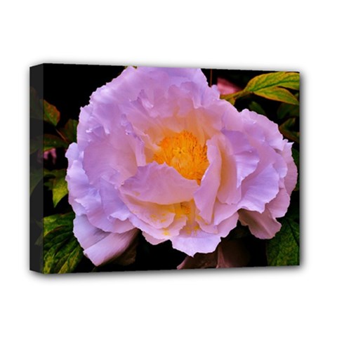 Flower Of Light  Deluxe Canvas 16  X 12  (stretched)  by maearthnaturegoddess