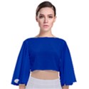 Absolute Zero Blue - Tie Back Butterfly Sleeve Chiffon Top View1