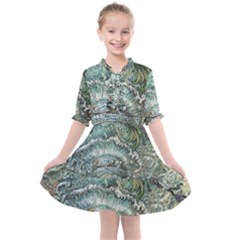 Splash - By Larenard Kids  All Frills Chiffon Dress by LaRenard