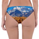 Aconcagua Park Landscape, Mendoza, Argentina Reversible Hipster Bikini Bottoms View4