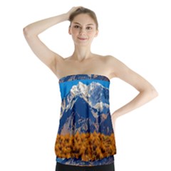 Aconcagua Park Landscape, Mendoza, Argentina Strapless Top by dflcprintsclothing