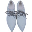 Beau Blue - Pointed Oxford Shoes View1