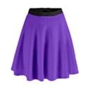 Just Purple - High Waist Skirt View1