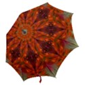 Landscape In A Colorful Structural Habitat Ornate Hook Handle Umbrellas (Small) View2