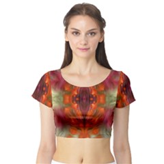 Landscape In A Colorful Structural Habitat Ornate Short Sleeve Crop Top by pepitasart