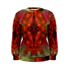 Landscape In A Colorful Structural Habitat Ornate Women s Sweatshirt by pepitasart