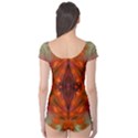 Landscape In A Colorful Structural Habitat Ornate Boyleg Leotard  View2