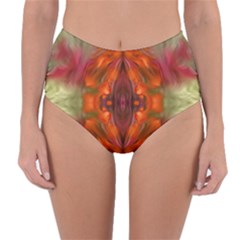 Landscape In A Colorful Structural Habitat Ornate Reversible High-waist Bikini Bottoms by pepitasart