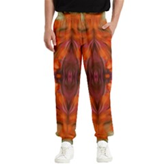 Landscape In A Colorful Structural Habitat Ornate Men s Elastic Waist Pants by pepitasart