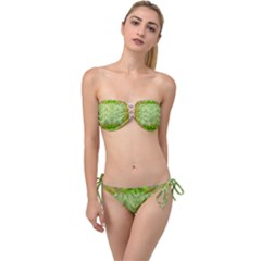 Landscape In A Green Structural Habitat Ornate Twist Bandeau Bikini Set by pepitasart