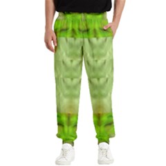 Landscape In A Green Structural Habitat Ornate Men s Elastic Waist Pants by pepitasart