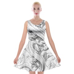 Dragon Lizard Vector Monster Velvet Skater Dress