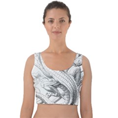 Dragon Lizard Vector Monster Velvet Crop Top