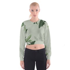 Banana Pattern Plant Cropped Sweatshirt by Mariart