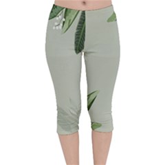 Banana Pattern Plant Velvet Capri Leggings  by Mariart