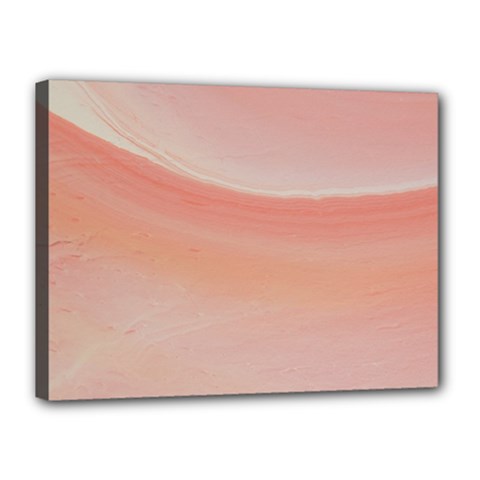 Pink Sky Canvas 16  X 12  (stretched) by WILLBIRDWELL