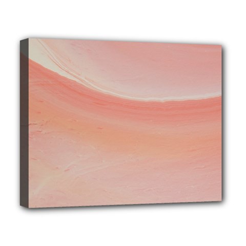 Pink Sky Deluxe Canvas 20  X 16  (stretched) by WILLBIRDWELL