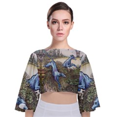 Blue Hunters Of The Morning Star - By Larenard Tie Back Butterfly Sleeve Chiffon Top by LaRenard