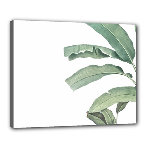 Palm Leaves Canvas 20  X 16  (stretched) by goljakoff