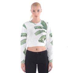 Palm Leaves Cropped Sweatshirt by goljakoff