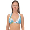 Modern pineapples Double Strap Halter Bikini Top View1