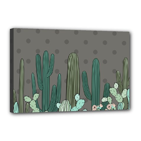 Cactus Plant Green Nature Cacti Canvas 18  X 12  (stretched)