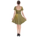 Golden Short Sleeve Bardot Dress View2