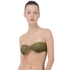 Golden Classic Bandeau Bikini Top 