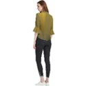 Golden Loose Horn Sleeve Chiffon Blouse View2