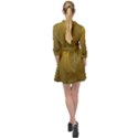 Golden Mini Skater Shirt Dress View2