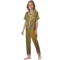 Golden Kids  Satin Short Sleeve Pajamas Set