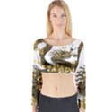 Dragon Animals Monster Long Sleeve Crop Top View1