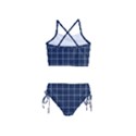 Blue Plaid Girls  Tankini Swimsuit View2