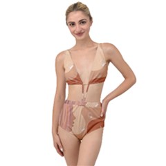 Online Woman Beauty Brown Tied Up Two Piece Swimsuit by Mariart