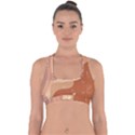 Online Woman Beauty Brown Cross Back Hipster Bikini Top  View1