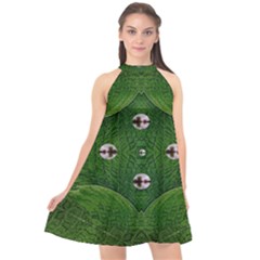 One Island In A Safe Environment Of Eternity Green Halter Neckline Chiffon Dress  by pepitasart