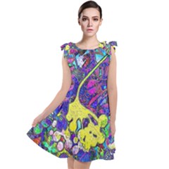 Vibrant Abstract Floral/rainbow Color Tie Up Tunic Dress by dressshop