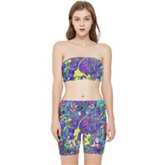 Vibrant Abstract Floral/rainbow Color Stretch Shorts And Tube Top Set