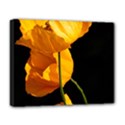 Yellow Poppies Deluxe Canvas 20  x 16  (Stretched) View1