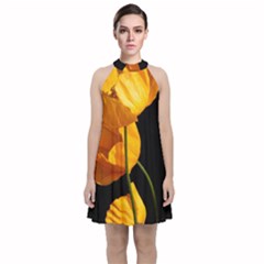 Yellow Poppies Velvet Halter Neckline Dress  by Audy